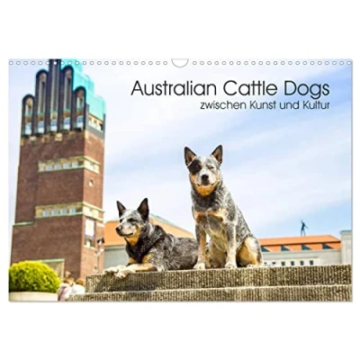 Abbildung von Australian Cattle Dogs zwischen Kunst und Kultur (Wandkalender 2025 DIN A3 quer), CALVENDO Monatskalender