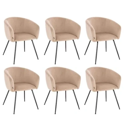 Abbildung von HOME DELUXE Polsterstuhl Esszimmerstuhl ARIA Samt 75 x 58 cm (6 St), Metallbeine, Samtstuhl, Küchenstuhl, Wohnzimmer