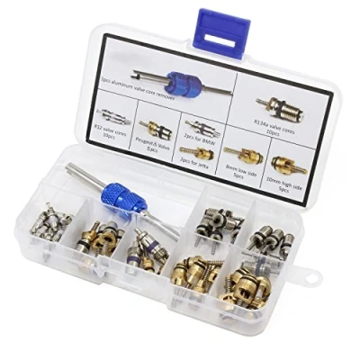 Abbildung von HSeaMall 40 STÜCKE A/C Ventilkern R12 R134a Automotive Klimaanlage Kälte Reifen Ventilschaft Kernen Remover Tool Sortiment Kit