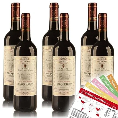 Abbildung von Philippe de Noange Montagne Saint Emilion AC, trocken, sortenreines Weinpaket + VINOX Winecards (6x0,75l)