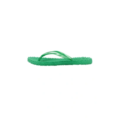 Abbildung von Ilse Jacobsen CHEERFUL02 Badezehentrenner, Damen, Größe: 36, Fern green Schuhe