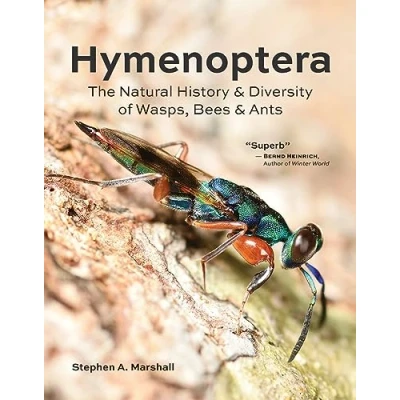 Abbildung von Hymenoptera: The Natural History and Diversity of Wasps, Bees Ants