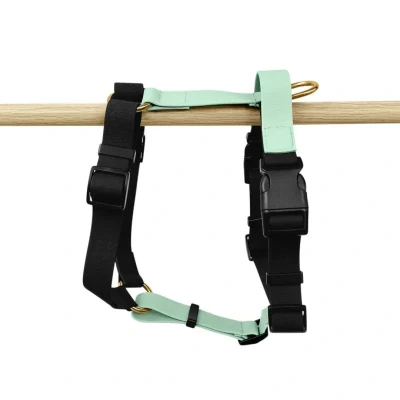 Abbildung von Führgeschirr Outdoor FLEX 5 fach verstellbar mit Haltegriff S / Schwarz Mint