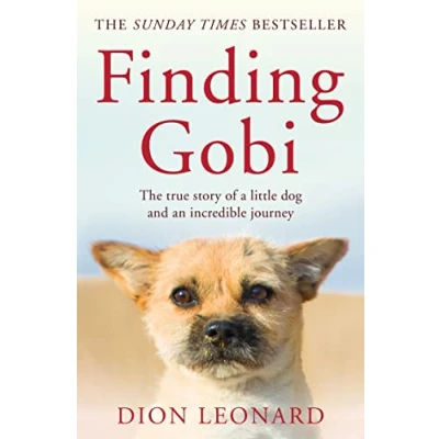 Abbildung von Finding Gobi (Main edition): The true story of a little dog and an incredible journey