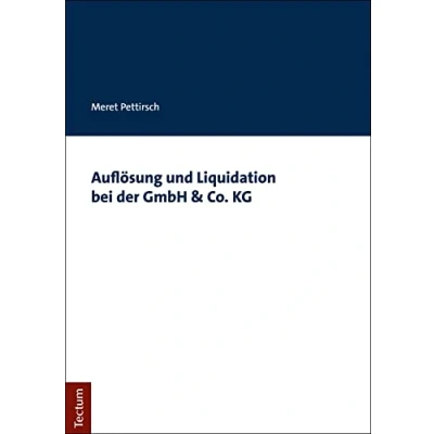 Abbildung von Auflösung und Liquidation bei der GmbH &amp; Co. KG