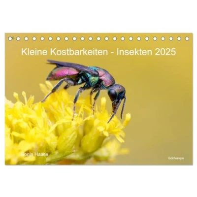 Abbildung von Kleine Kostbarkeiten Insekten (Tischkalender 2025 DIN A5 quer), CALVENDO Monatskalender
