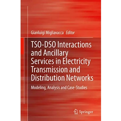 Abbildung von TSO DSO Interactions and Ancillary Services in Electricity Transmission Distribution Networks: Modeling, Analysis Case Studies