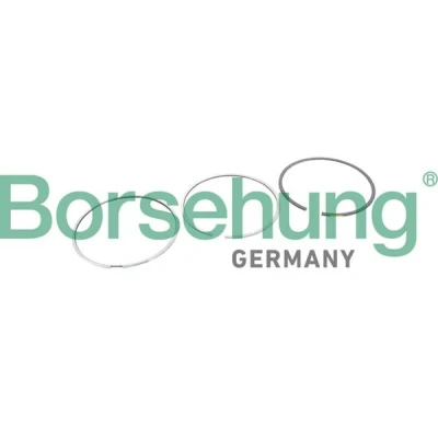 Abbildung von Borsehung B10368 Kolbenringsatz AUDI: A6 C7 Avant, Limousine
