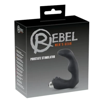 Abbildung von Prostatavibrator, 25 cm, 9 cm Einführtiefe