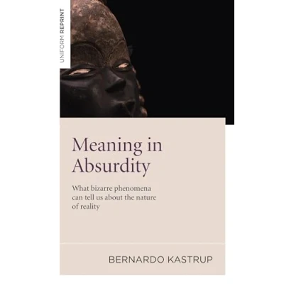 Abbildung von Meaning in Absurdity: What Bizarre Phenomena Can Tell Us About the Nature of Reality