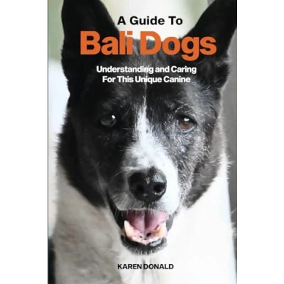 Abbildung von A Guide to Bali Dogs: Understanding and Caring For This Unique Canine