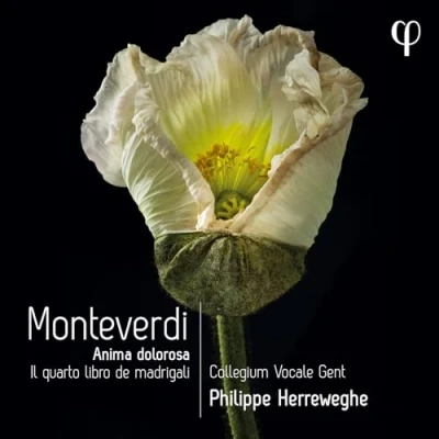 Abbildung von Monteverdi: Il Quarto Libro de Madrigali