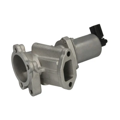 Abbildung von NGK 92915 AGR Ventil elektrisch mit Dichtungen OPEL: Corsa D Schrägheck, Astra H Caravan, FIAT: Linea, Grande Punto Schrägheck