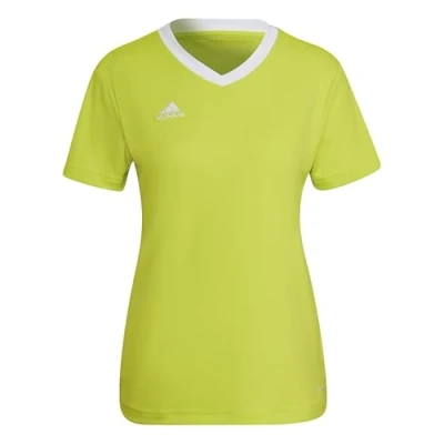 Abbildung von adidas Performance Entrada Sport Tshirt, Damen, Größe: XXL, Gruenweissweiss