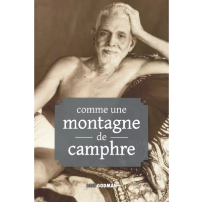 Abbildung von Comme une montagne de camphre : Enseignements Ramana Maharshi et Annamalaï Swâmî