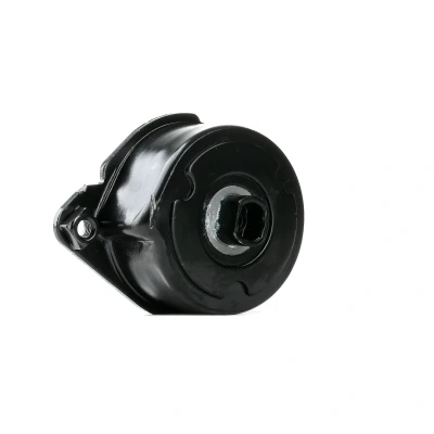 Abbildung von FEBI BILSTEIN 30117 Riemenspanner BMW: 7, 5 Limousine, Touring