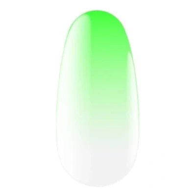 Abbildung von Express Spray für Ombre Green 5g Nagelpuder Nägel Airbrush Powder Nageldesign Nail Art Manikure Set Erstellen Design Gelnagel Spruhflasche Einfache Anwendung