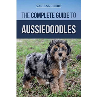 Abbildung von The Complete Guide to Aussiedoodles: Finding, Caring For, Training, Feeding, Socializing, and Loving Your New Aussidoodle