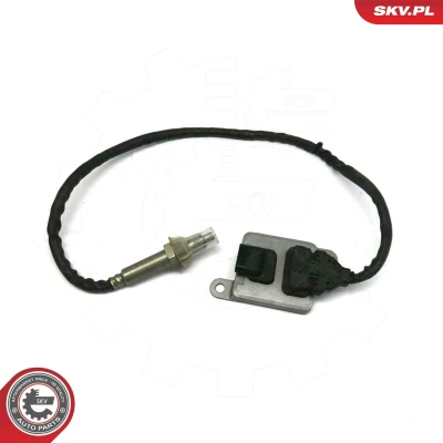 Abbildung von NOx Sensor, Katalysator ESEN SKV 71SKV118