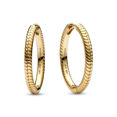 Abbildung von Pandora HOOP Ohrringe, Damen, Größe: One Size, Gold plated