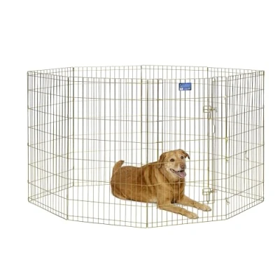 Abbildung von MidWest Homes for Pets 546 42 Hunde Laufstall, Haustier Spielgehege, faltbar, Metall, 61 x 107 cm, goldfarben verzinkt