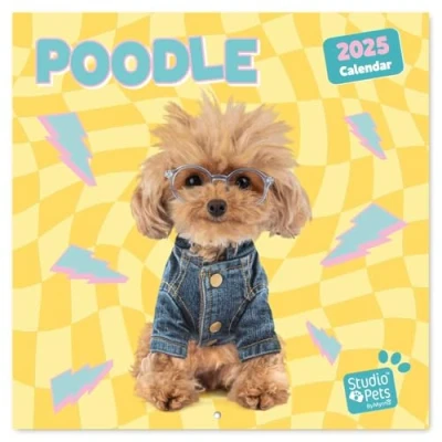 Abbildung von Kalender 2025 Wandkalender Grupo Erik Studio Pets Poodle Familienplaner 30 x cm Jahreskalender 12 Monate
