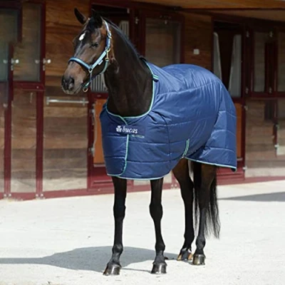 Abbildung von Bucas Quilt 300g SD