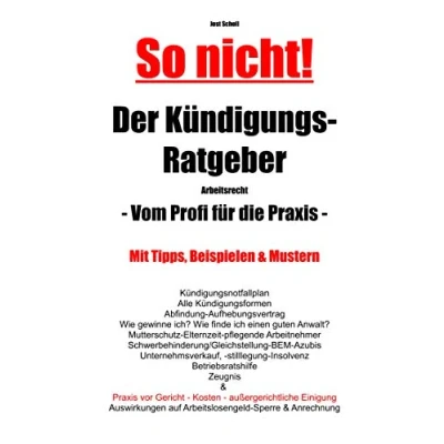Abbildung von So nicht! Der Kündigungs Ratgeber Arbeitsrecht: Vom Profi für die Praxis