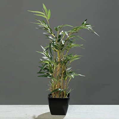 Abbildung von Kunstpflanze Bambus 60cm im schwarzen Topf Kunstpflanzen Kunstbaum künstlicher Strauch, mucPlants, Höhe 60 cm