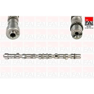 Abbildung von FAI AutoParts C281 Nockenwelle HYUNDAI: i30 I Schrägheck, SANTA FE I, 2