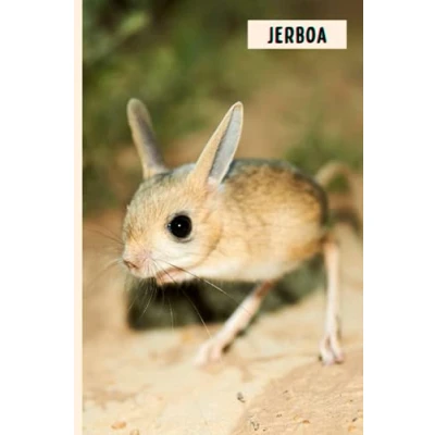 Abbildung von Jerboa: Composition Notebook For Jerboa Lovers , Lined Journal ,6x9 Inches 110 Pages ,Jerboa Diary