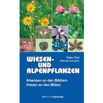 Abbildung von Wiesen und Alpenpflanzen: Erkennen an den Blättern Freuen Blüten