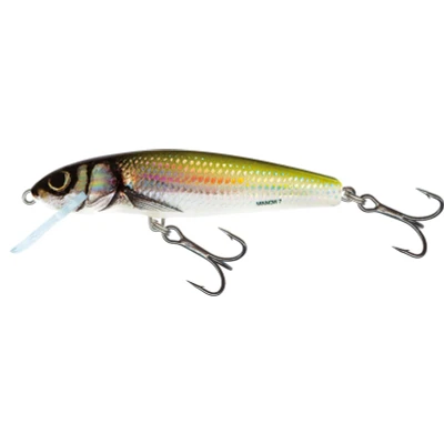 Abbildung von Salmo Minnow 6cm 4gr Floating 0,5 1m Holo Bleak Wobbler