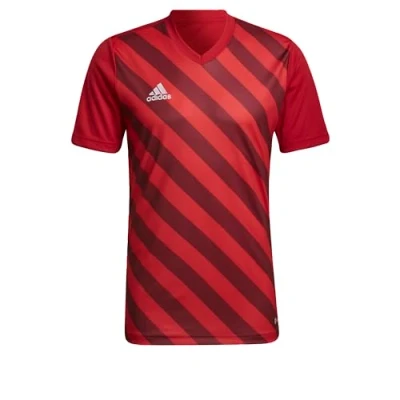 Abbildung von Entrada 22 Graphic Trikot