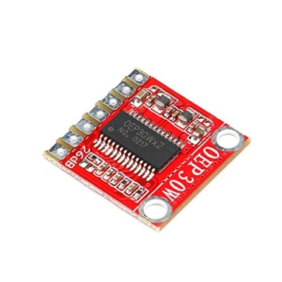 Abbildung von OEP30W Modul digitaler Mono Verstärker
