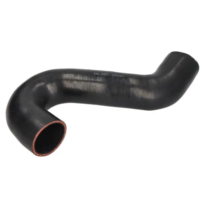 Abbildung von THERMOTEC DCW112TT Ansaugschlauch, Luftfilter Eingang VOLKSWAGEN: Amarok Pickup
