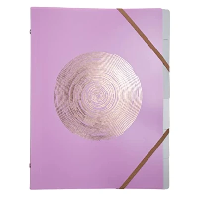 Abbildung von Exacompta Ref. 56890E 1 Ellipse mit Gummibändern Einband aus recyceltem Polypropylen roségoldener Prägung 6 Fächer für A4 Maße: 25 x 32 cm zufällige Farben