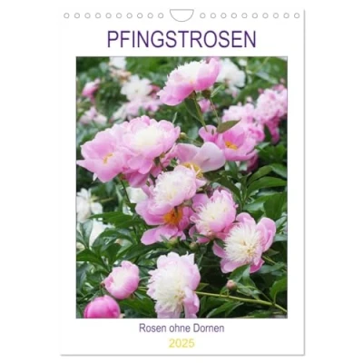 Abbildung von Pfingstrosen Rosen ohne Dornen (Wandkalender 2025 DIN A4 hoch), CALVENDO Monatskalender