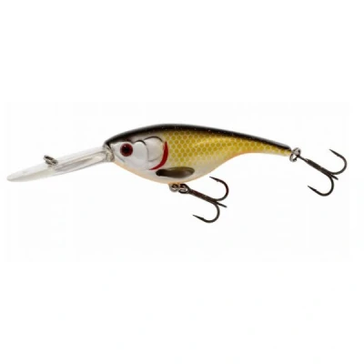 Abbildung von Westin BabyBite DR Crankbait 6,5cm Official Roach Wobbler