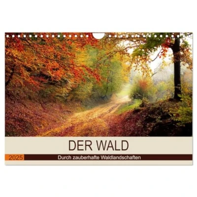 Abbildung von Der Wald. Durch zauberhafte Waldlandschaften (Wandkalender 2025 DIN A4 quer), CALVENDO Monatskalender