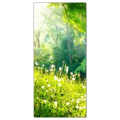 Abbildung von Wallario Selbstklebende Türtapete Pusteblumen im Wald mit einfallenden Sonnenstrahlen Türposter 93 x 205 cm Abwischbar, rückstandsfrei zu entfernen