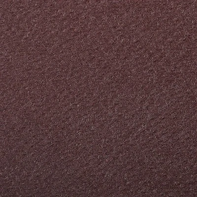 Abbildung von Clairefontaine 90885C Packung (mit 5 Bögen Zeichenpapier Etival Color, DIN A4, 21 x 29,7 cm, 160g, gekörnt, ideal für Trockentechnik und Einrahmen) weinrot