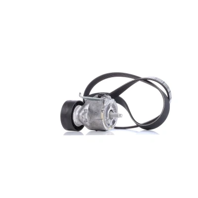 Abbildung von DAYCO KPV110 Keilrippenriemensatz FIAT: 500 Schrägheck, Punto II Evo LANCIA: Ypsilon II, III