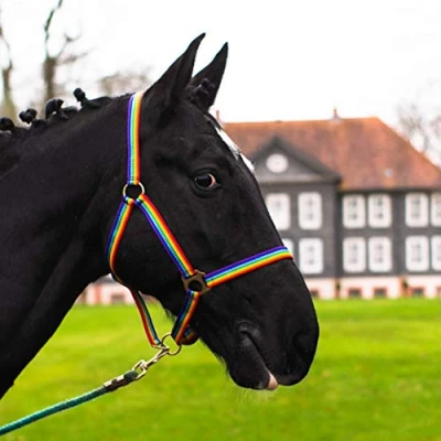Abbildung von Halfter für Pferd Warmblut, Vollblut, Kaltblut Stallhalfter, Weidehalfter, 2 Fach verstellbar an Kinnriemen und Genickstück, sicher &amp; reißfest (Bunt, Kaltblut)