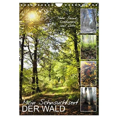Abbildung von Mein Sehnsuchtsort, der Wald (Wandkalender 2025 DIN A4 hoch), CALVENDO Monatskalender
