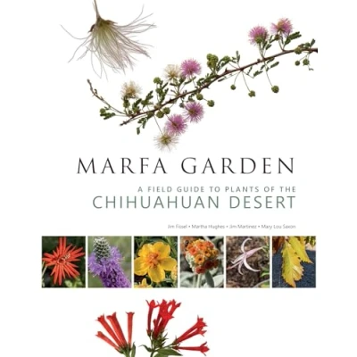 Abbildung von Marfa Garden: A Field Guide to Plants of the Chihuahuan Desert
