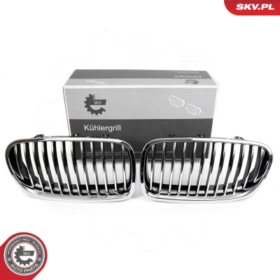 Abbildung von ESEN SKV 66SKV182 Kühlergrill chrom BMW: 5 Limousine, Touring