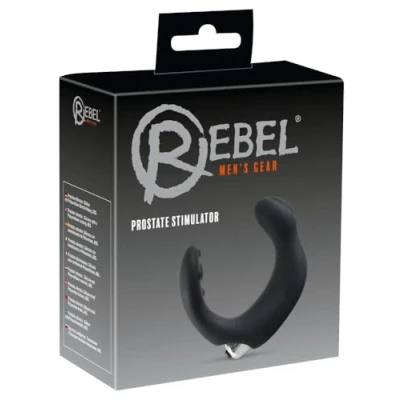 Abbildung von Prostatavibrator &quot;Prostate Stimulator&quot;, Vibrobullet herausnehmbar