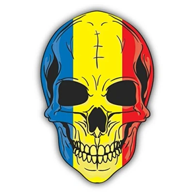 Abbildung von Skull Flag Romania Hochwertigen Auto Autoaufkleber 10 x 12 cm