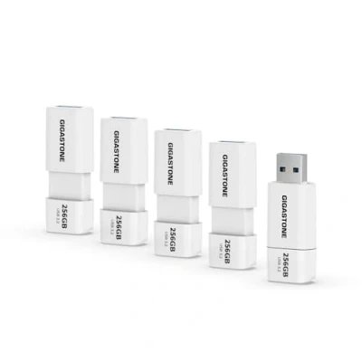 Abbildung von Gigastone Z60 256GB 5er Pack USB 3.2 Gen1 Flash Drive, R/W 120/60MB/s Ultra High Speed Pen Capless Retractable Design Thumb 2.0 / 3.0 3.1 Interface Compatible